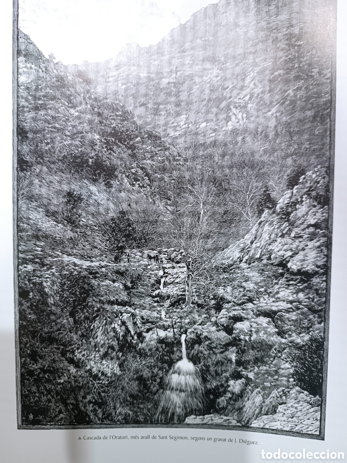 Libros: La descoberta del Montseny - Foto 7