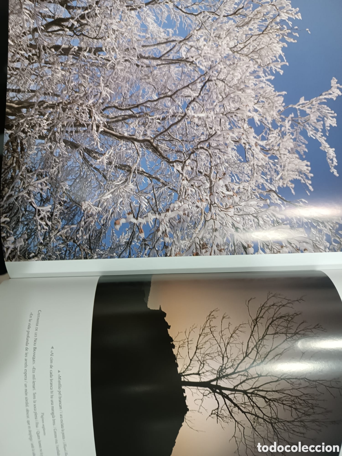 Libros: La descoberta del Montseny - Foto 8