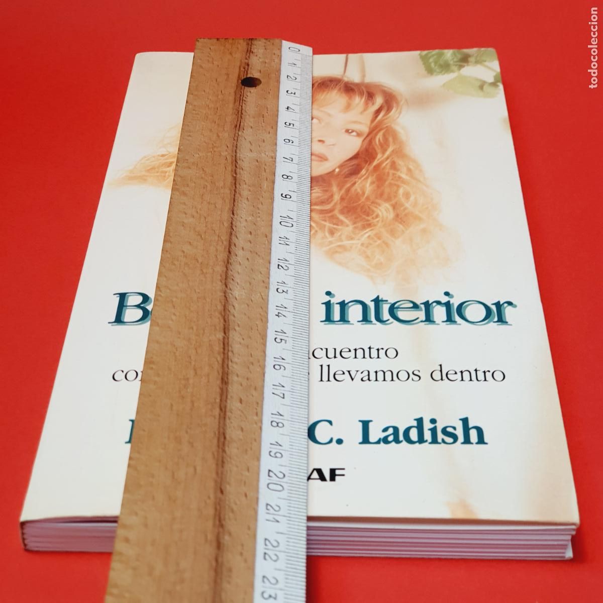 Libros: LIBRO-BELLEZA INTERIOR-LORRAINE C. LADISH-EDAF-1995 - Foto 16