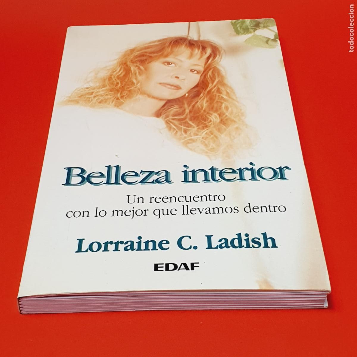 Libros: LIBRO-BELLEZA INTERIOR-LORRAINE C. LADISH-EDAF-1995 - Foto 1