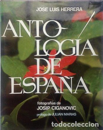 Libros: ANTOLOG&Iacute;A DE ESPA&Ntilde;A - Jos&eacute; Luis Herrera - Foto 1