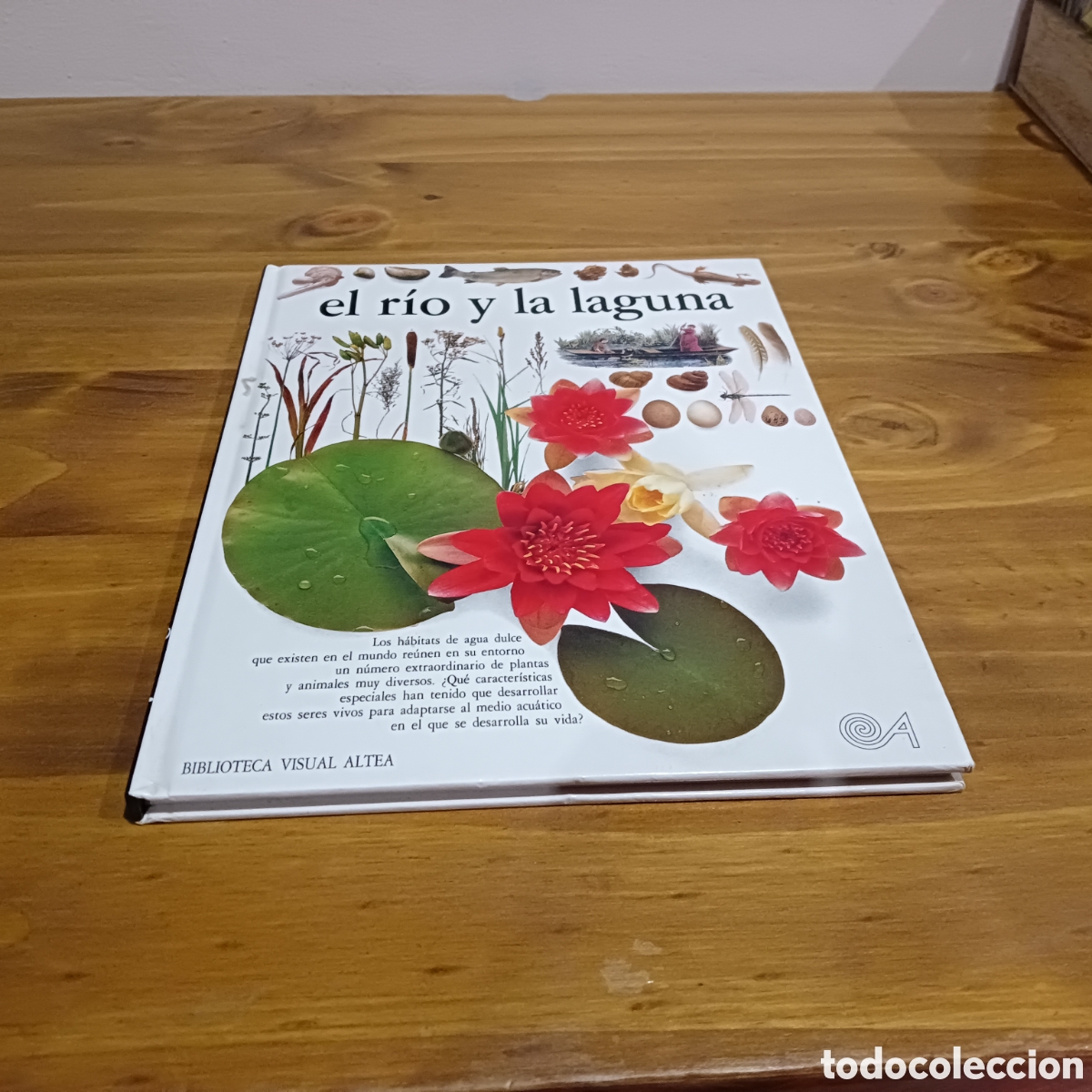 Libros: El r&iacute;o y la laguna. Biblioteca visual altea - Foto 1