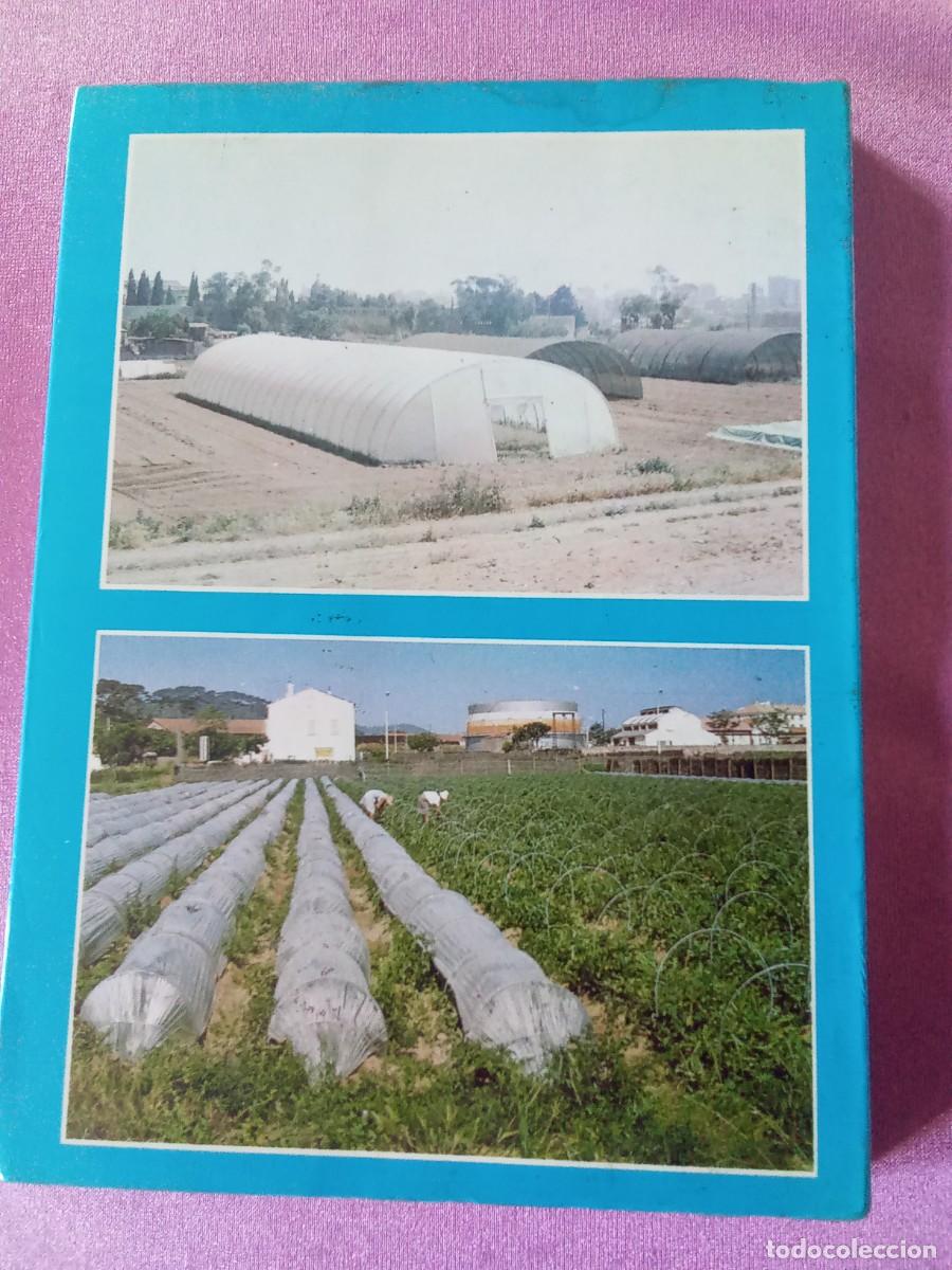Libros: HORTICULTURA INTENSIVA CULTIVOS HORTICOLAS ASTURIAS L5 AR 1 B3