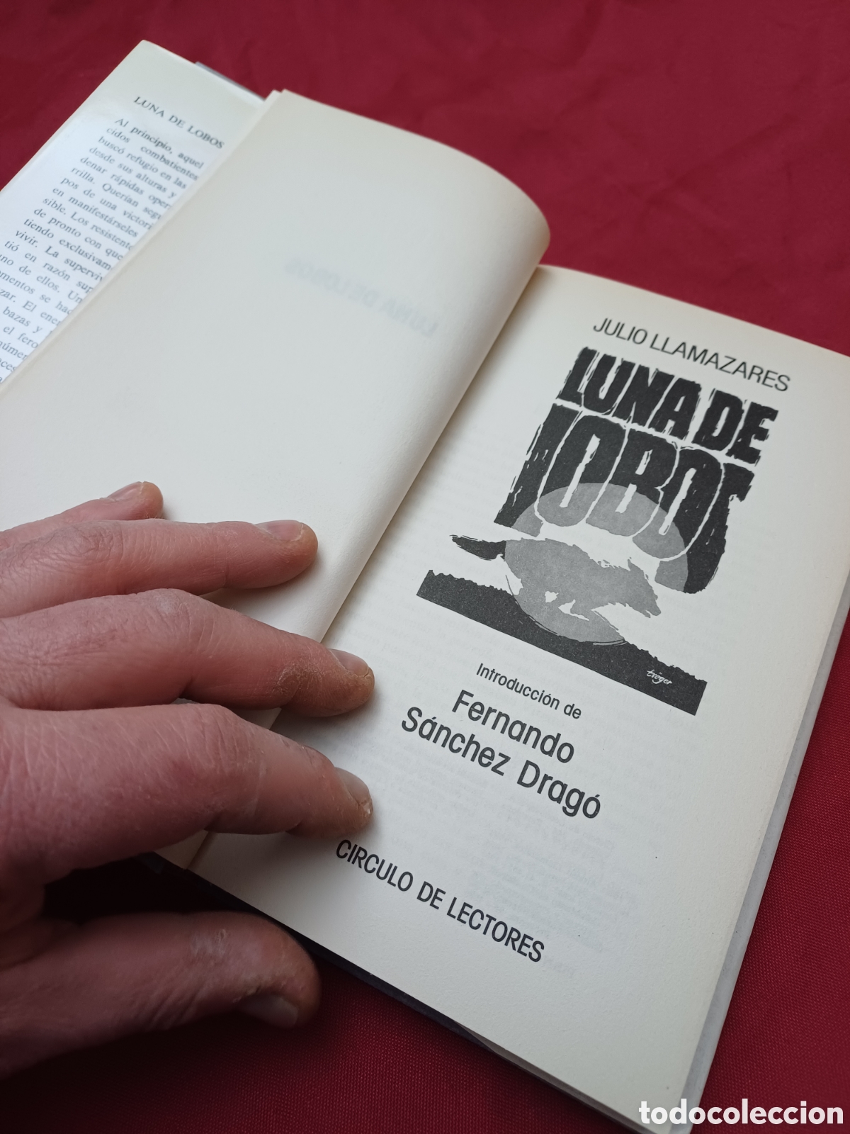 Libros: LIBRO, LUNA DE LOBOS, JULIO LLAMAZARES, 1985 - Foto 5