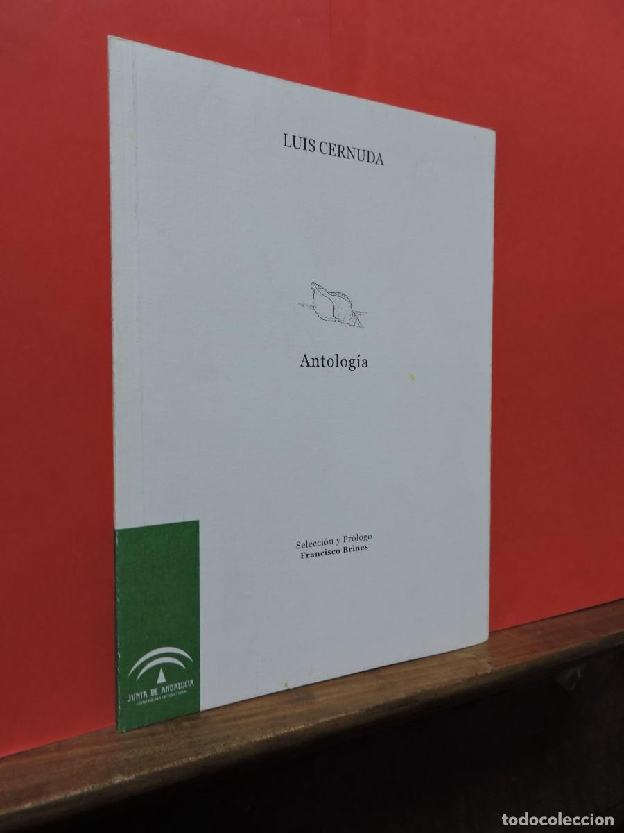 Libros: Antolog&iacute;a. CERNUDA, Luis. Ed. Junta de Andaluc&iacute;a. Granada, 2002 - Foto 1