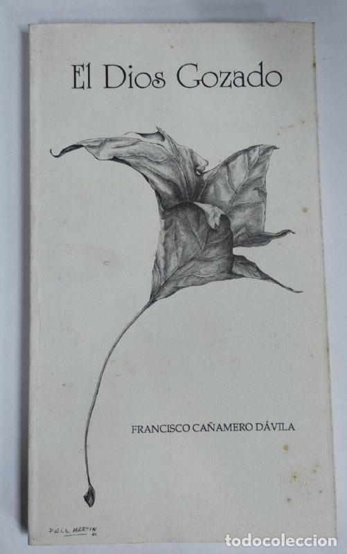 Libros: El Dios gozado. Poemas navide&ntilde;os y villancicos