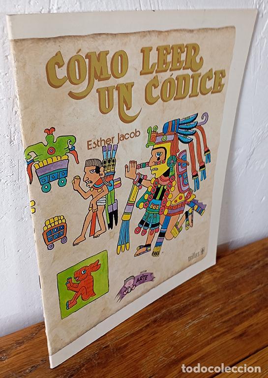 Libros: C&Oacute;MO LEER UN C&Oacute;DICE - ESTHER JACOB (Texto), BRUNO L&Oacute;PEZ (Ilustraciones) - Foto 1