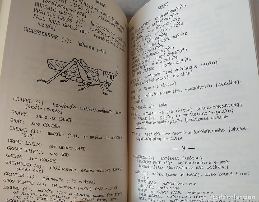 Libros: ENGLISH - CHEYENNE. STUDENT DICTIONARY - NORTHERN CHEYENNE - Foto 3