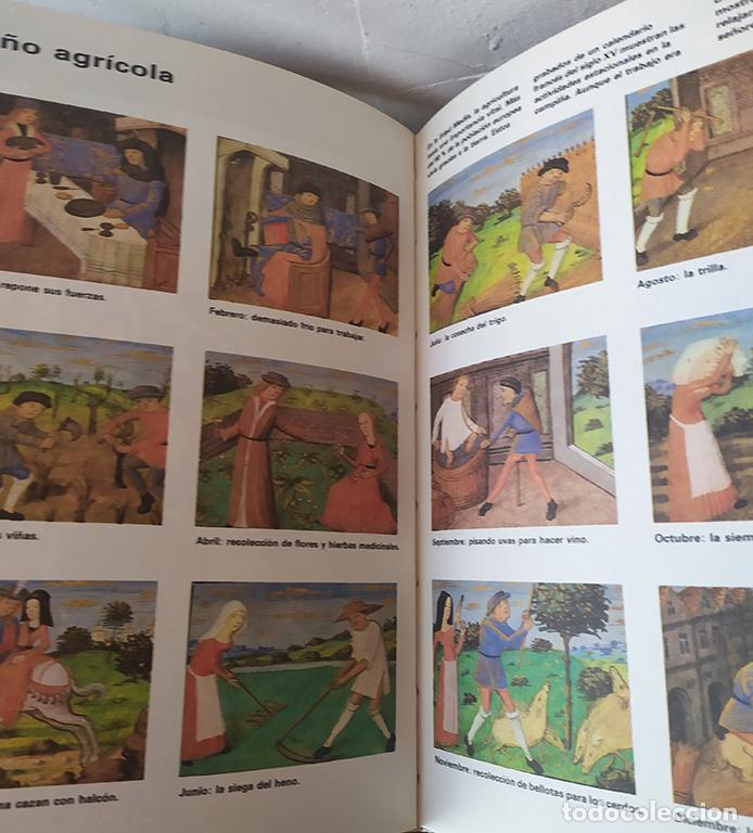 Libros: EDAD MEDIA. Pueblos del pasado - FIONA MACDONALD - Foto 3