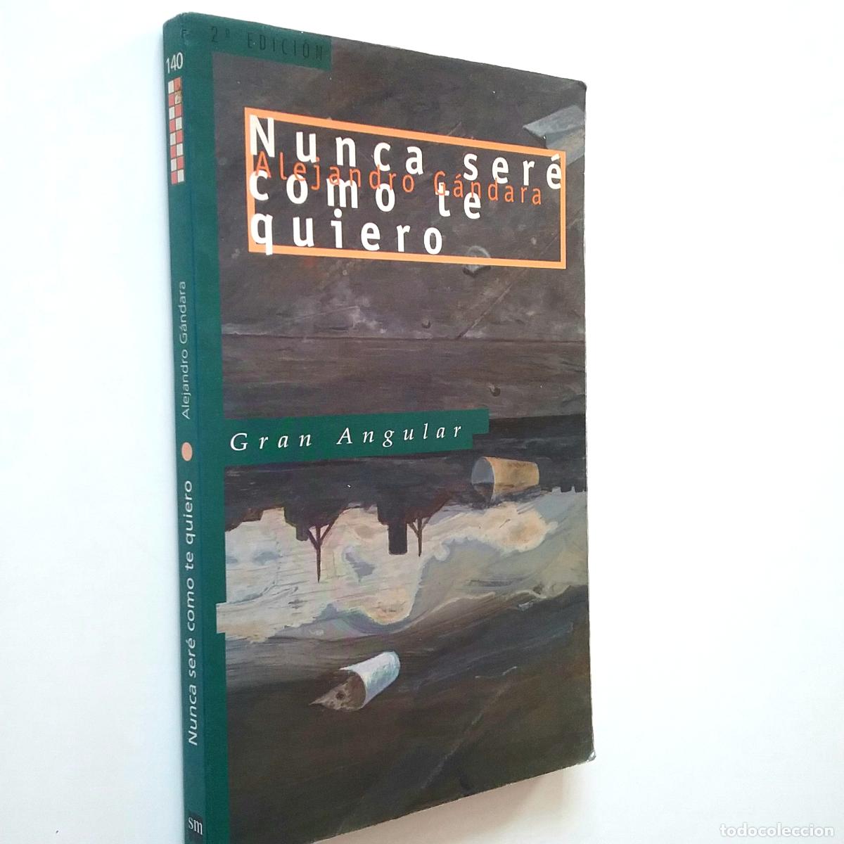 Libros: Alejandro G&aacute;ndara - Nunca ser&eacute; como te quiero - Foto 1
