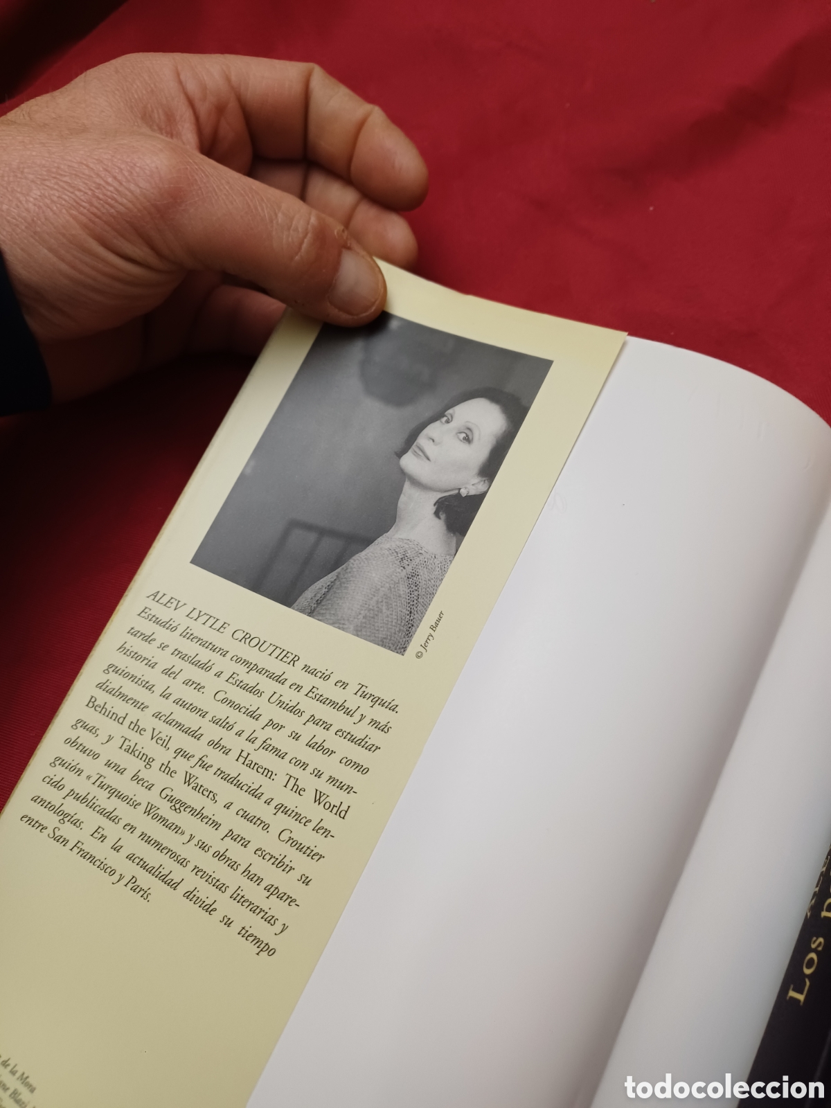 Libros: LIBRO, LOS PALACIOS DE LA MEMORIA, A&Ntilde;O 2000 - Foto 5