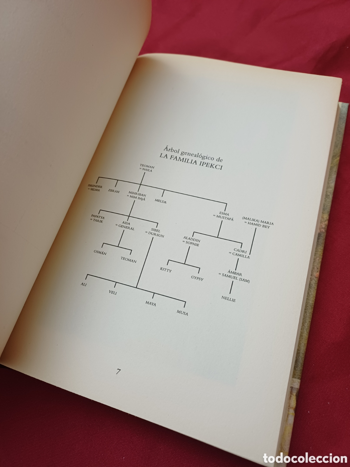 Libros: LIBRO, LOS PALACIOS DE LA MEMORIA, A&Ntilde;O 2000 - Foto 6