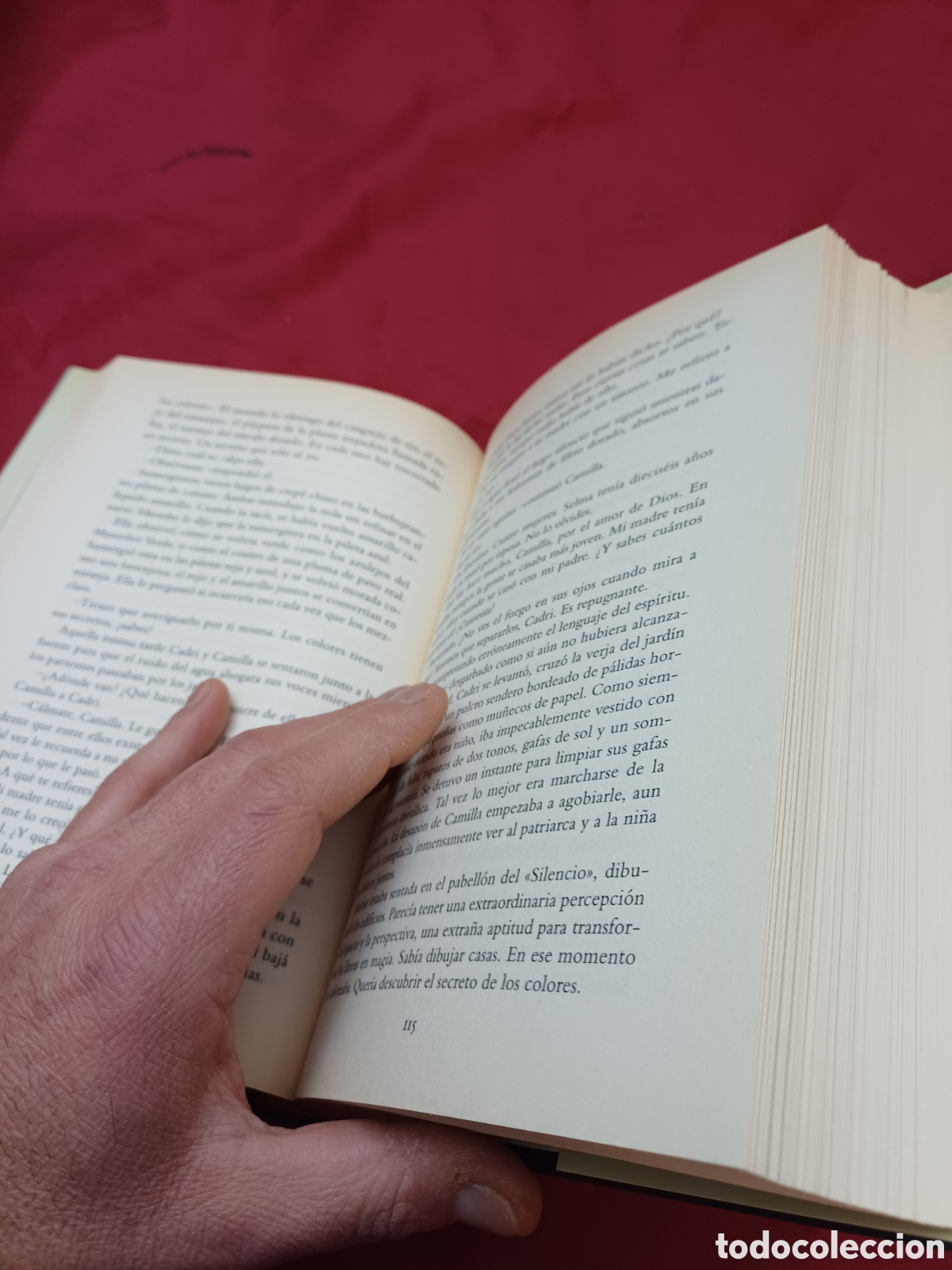 Libros: LIBRO, LOS PALACIOS DE LA MEMORIA, A&Ntilde;O 2000 - Foto 10