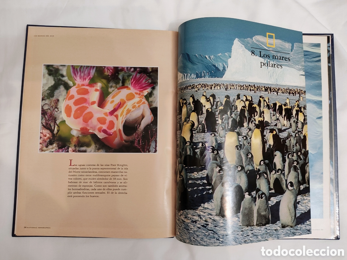 Libros: Libro &rdquo;Los reinos del mar&rdquo; - Foto 3