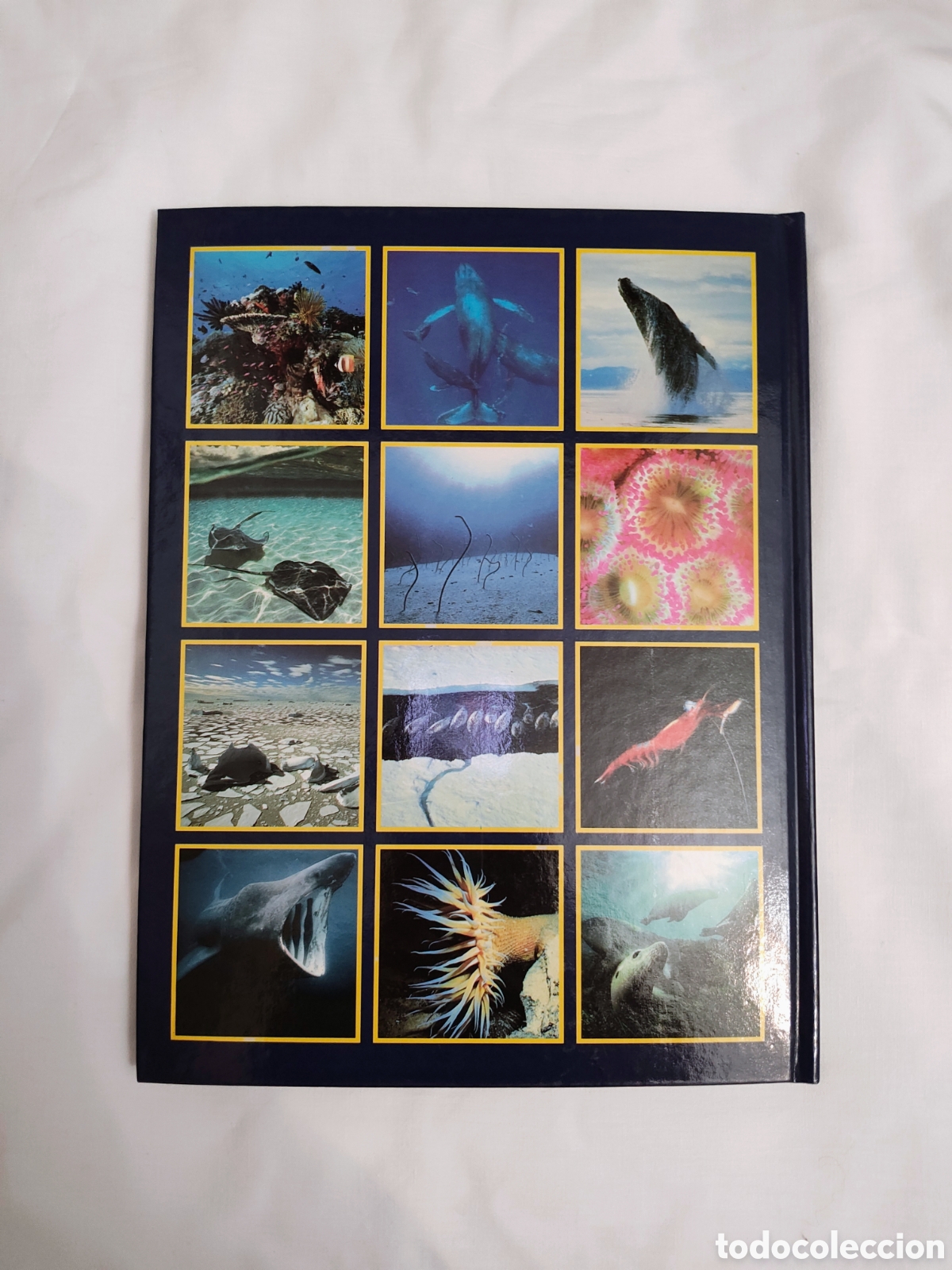 Libros: Libro &rdquo;Los reinos del mar&rdquo; - Foto 4