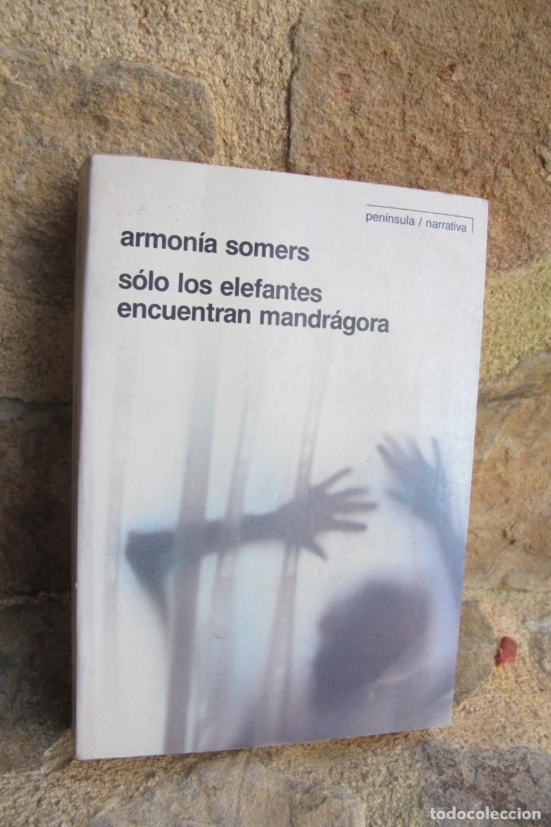 B&uuml;cher: SOLO LOS ELEFANTES ENCUENTRAN MANDRAGORA. ARMONIA SOMERS