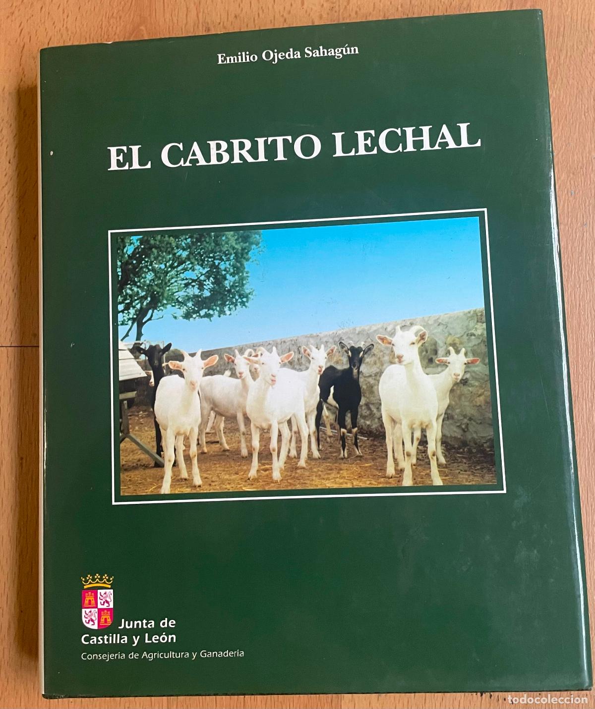 Libros: EL CABRITO LECHAL, Emilio Ojeda Sahagun, Junta de Castilla y Leon - Foto 1
