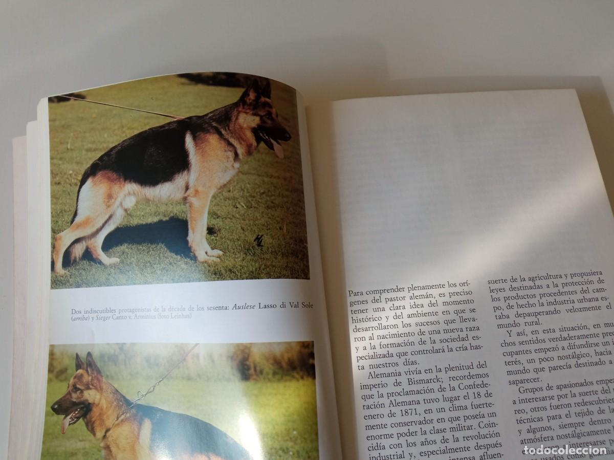 Libros: El pastor alem&aacute;n Giorgio Teich Alasia - Foto 8
