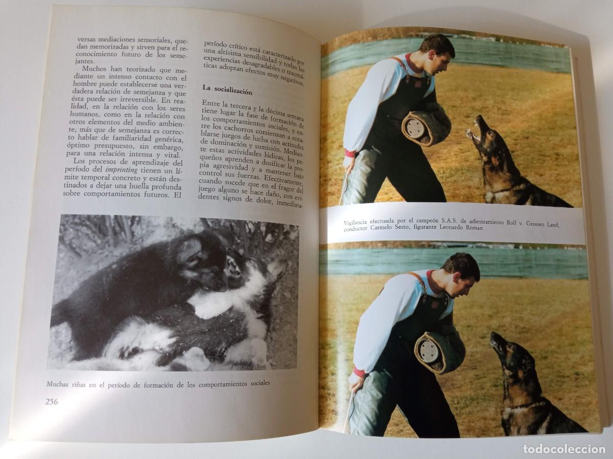 Libros: El pastor alem&aacute;n Giorgio Teich Alasia - Foto 11