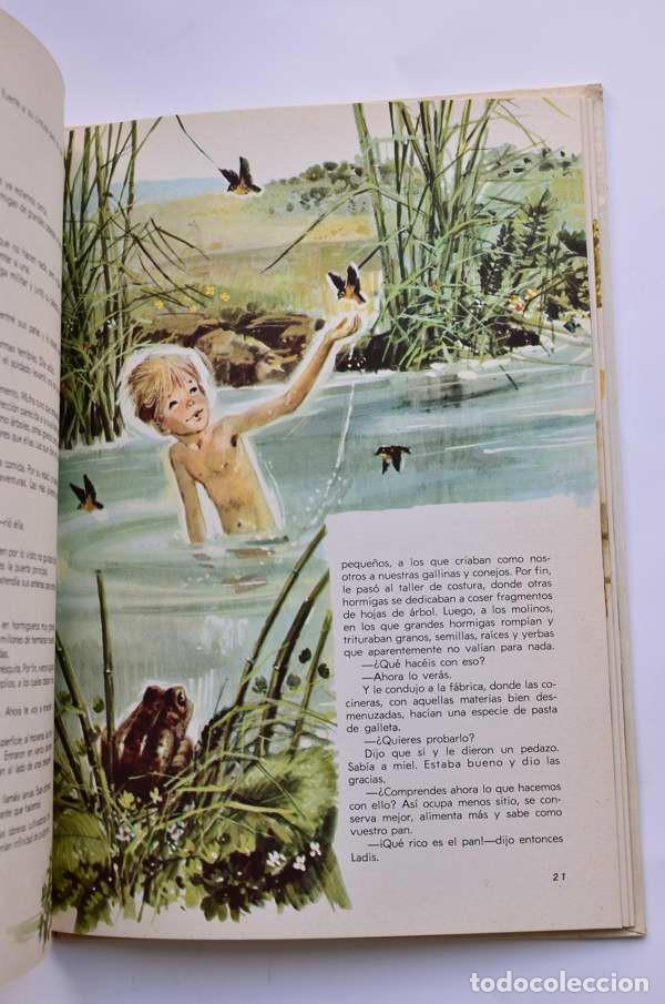 Libros: Ladis, un gran peque&ntilde;o - S&Aacute;NCHEZ SILVA, J. M. - Foto 4