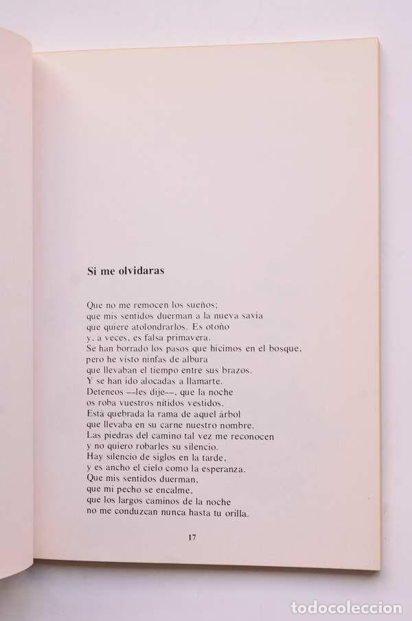 Libros: Umbral sonoro - SEQUEROS, Ofelia - Foto 4