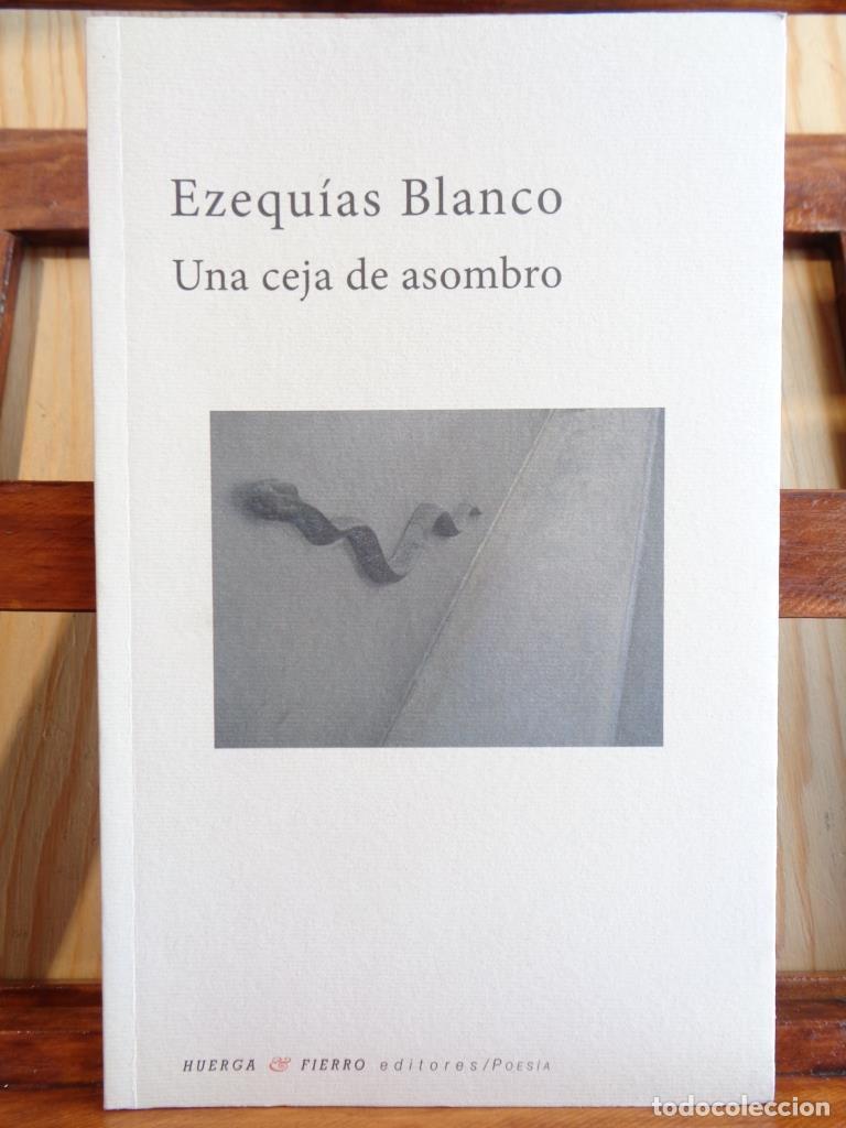Libros: UNA CEJA DE ASOMBRO - EZEQU&Iacute;AS BLANCO - Foto 1