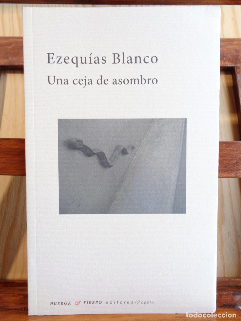 Libros: UNA CEJA DE ASOMBRO - EZEQU&Iacute;AS BLANCO - Foto 1