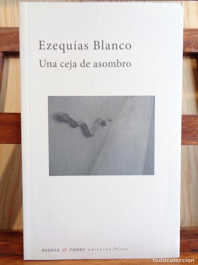 Libros: UNA CEJA DE ASOMBRO - EZEQU&Iacute;AS BLANCO - Foto 1