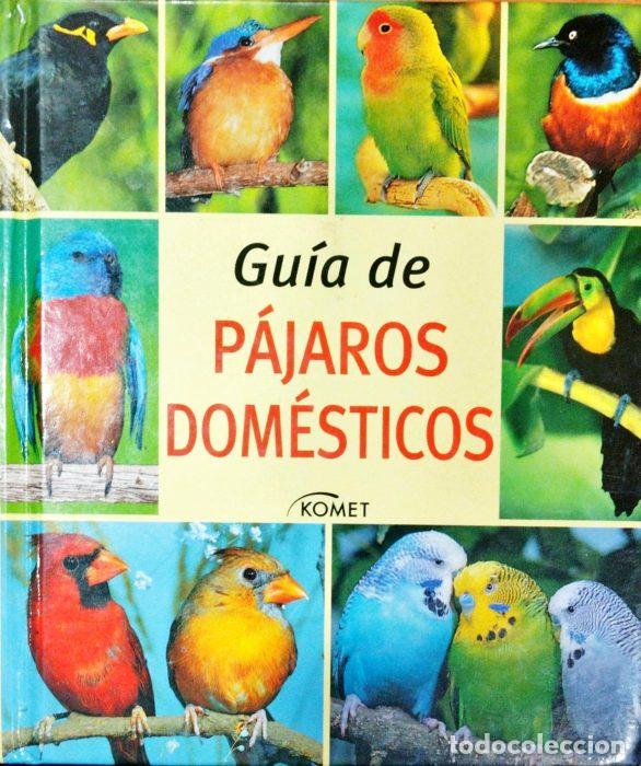 Libros: Gu&iacute;a de p&aacute;jaros dom&eacute;sticos - VVAA - Foto 1