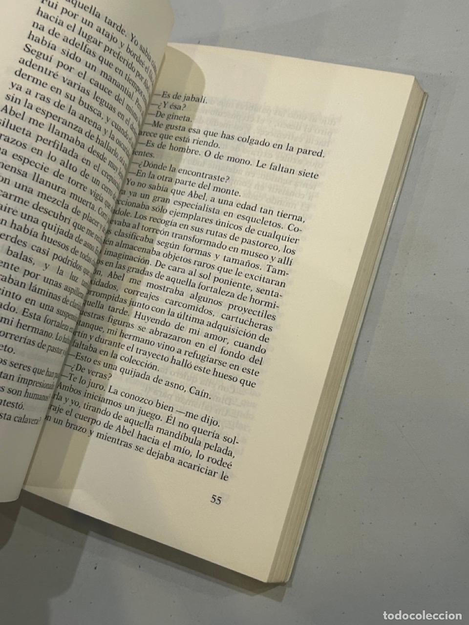 Libros: Manuel Vicent - Balada de Ca&iacute;n - Foto 2