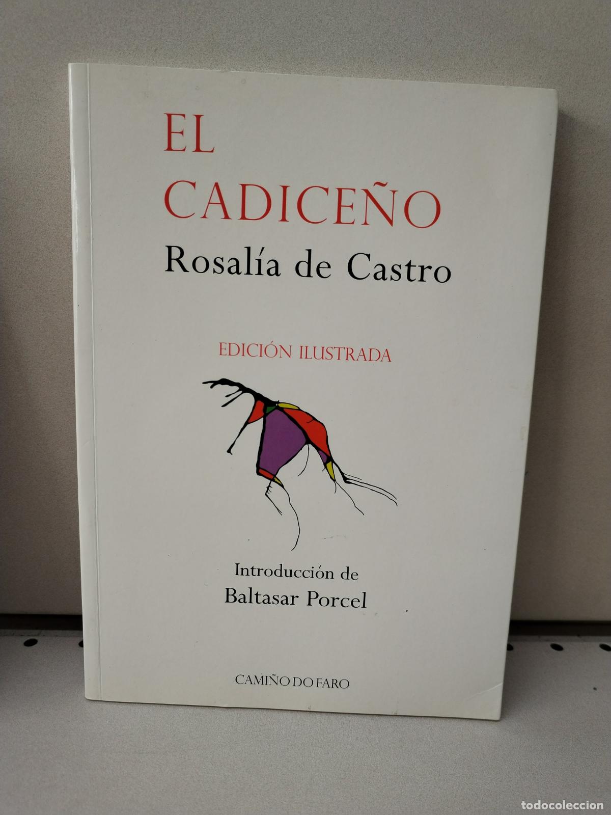 Libros: Cadice&ntilde;o Edicion Ilustrada - Rosal&iacute;a De Castro - Foto 1