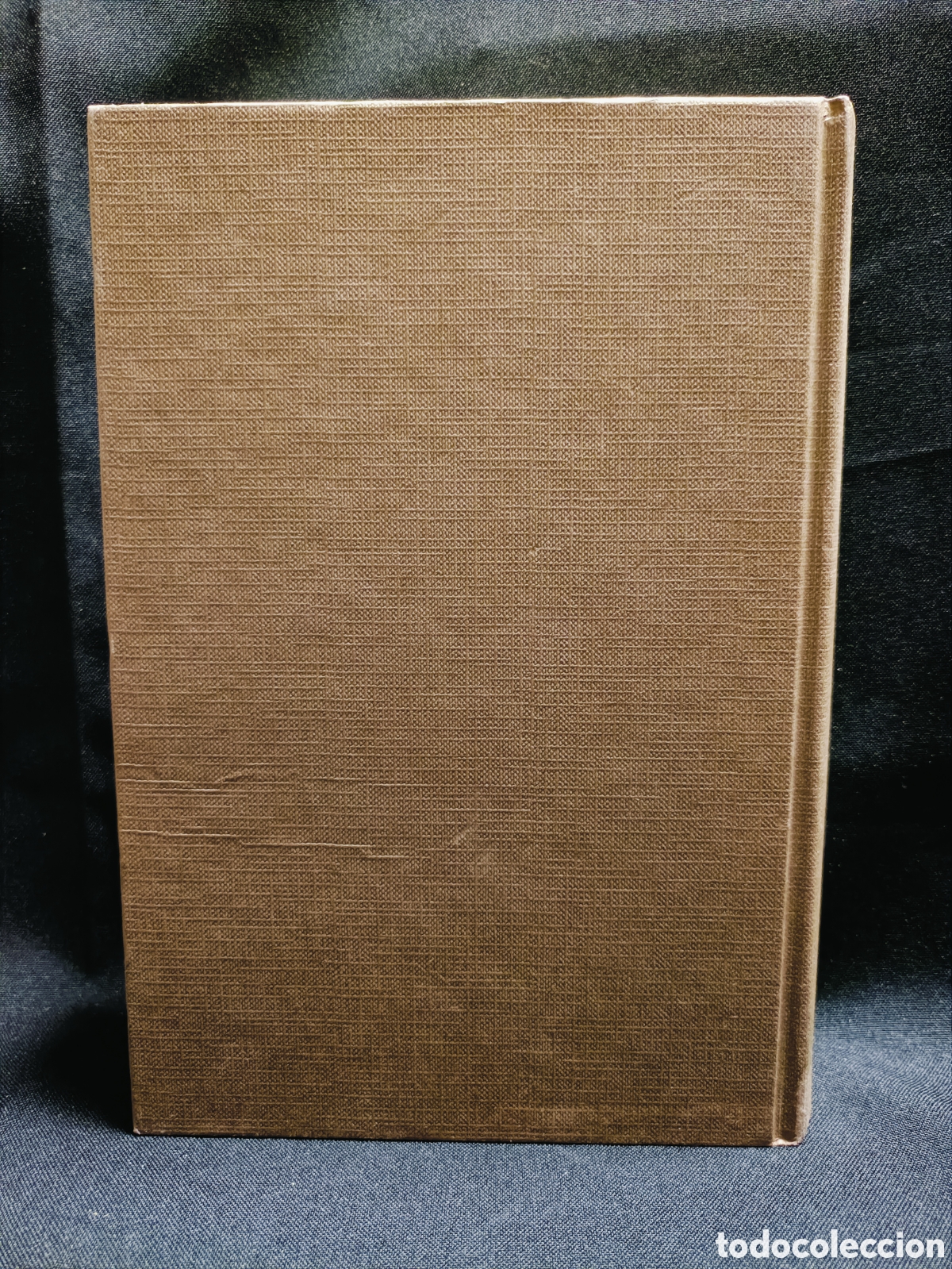 Libros: PERDIDA EN LA OSCURIDAD . Alexandra Ripley - Foto 3