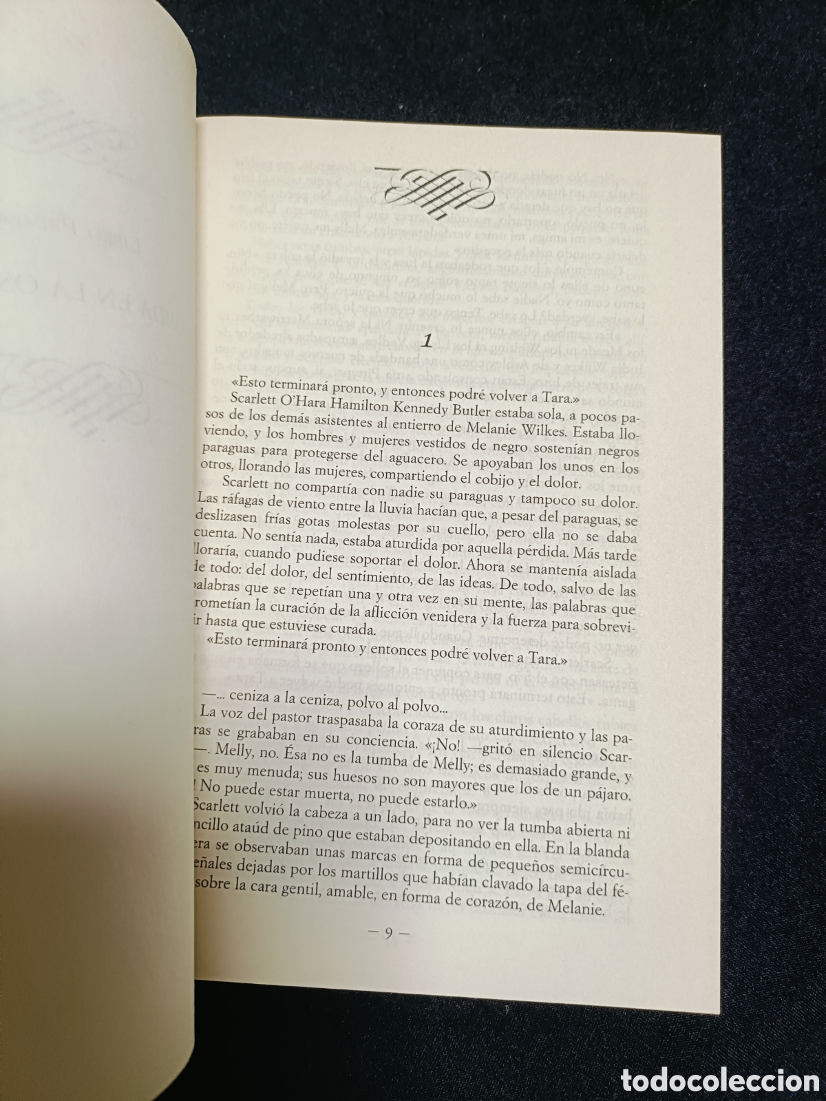 Libros: PERDIDA EN LA OSCURIDAD . Alexandra Ripley - Foto 4
