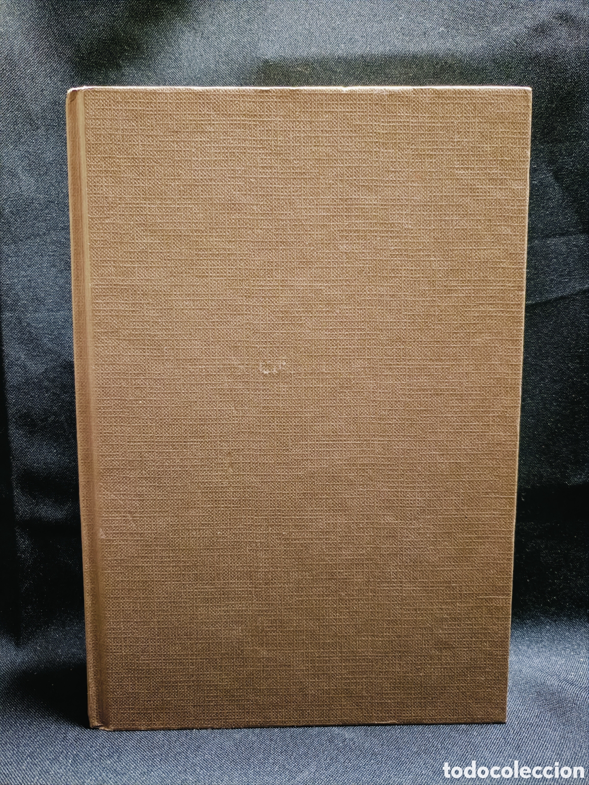 Libros: PERDIDA EN LA OSCURIDAD . Alexandra Ripley - Foto 2