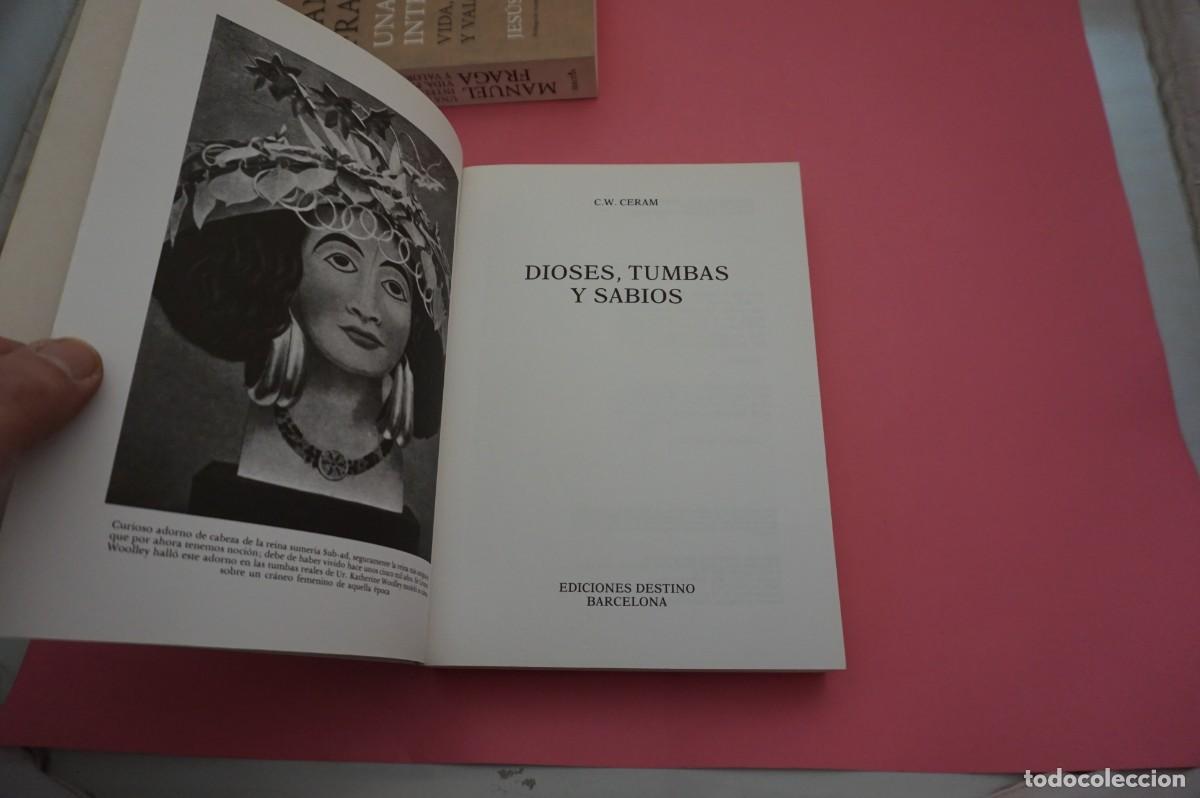 Libros: M4E/ DIOSES, TUMBAS Y SABIOS - G. W. CERAM / EDICIONES DESTINO - Foto 2