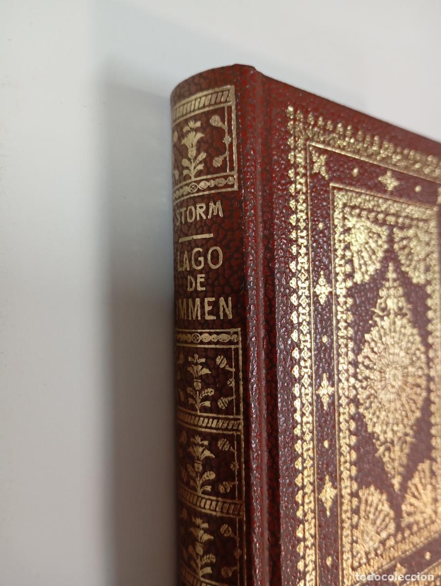 Libros: EL LAGO DE IMMEN. - THEODOR STORM. TDK284 - Foto 2