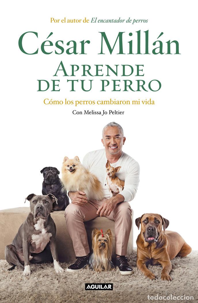 Libros: APRENDE DE TU PERRO - MILLAN, CESAR - Foto 1