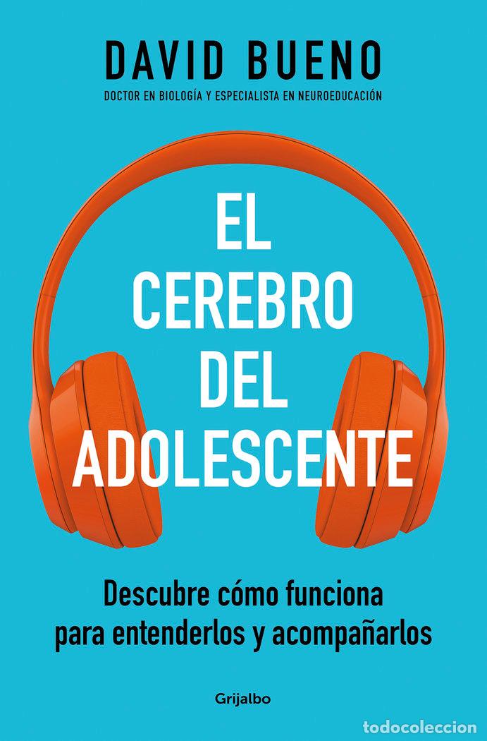 Libros: EL CEREBRO DEL ADOLESCENTE - BUENO,DAVID - Foto 1