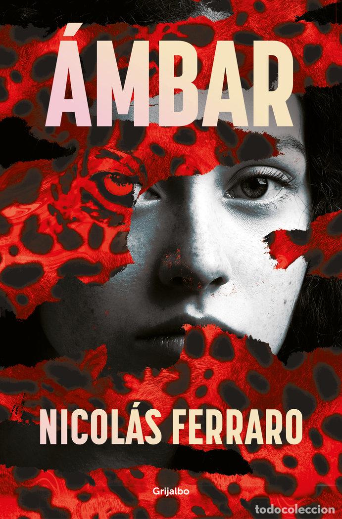 Libros: AMBAR - NICOLAS FERRARO - Foto 1