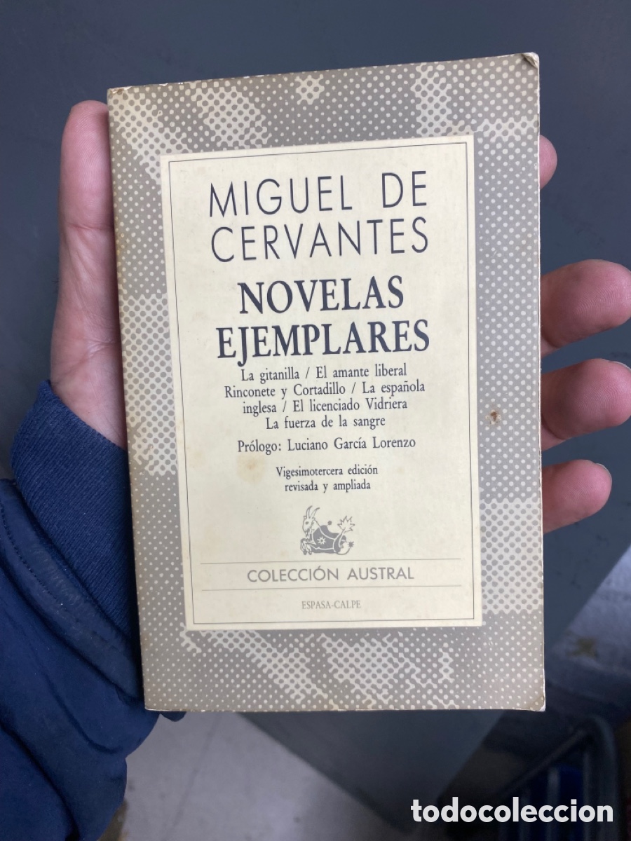 Libros: Novelas ejemplares de Miguel de Cervantes - Foto 1
