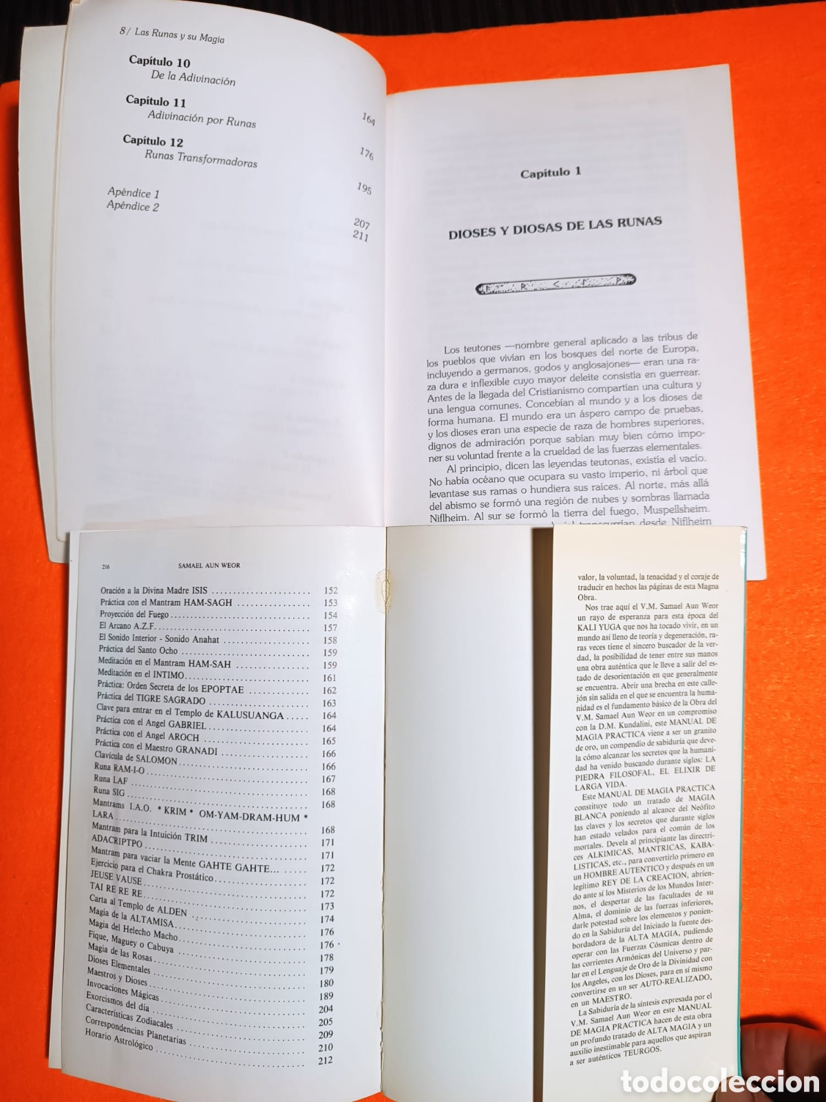 Libros: Las runas y su magia y manual de magia practica - Foto 4