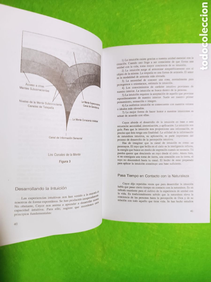 Libros: Canalizando su yo superior. Edgar cayce - Foto 8