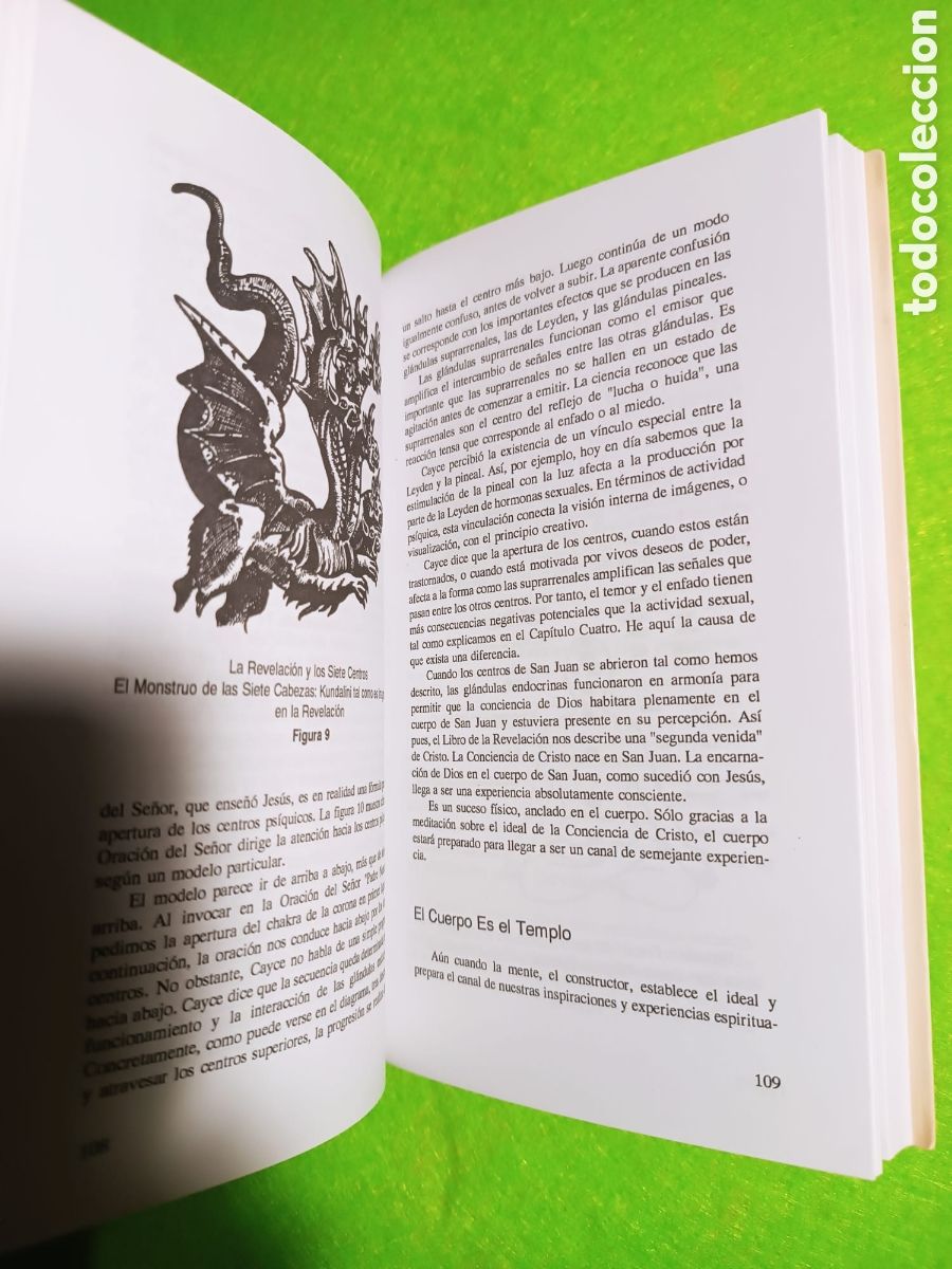 Libros: Canalizando su yo superior. Edgar cayce - Foto 9