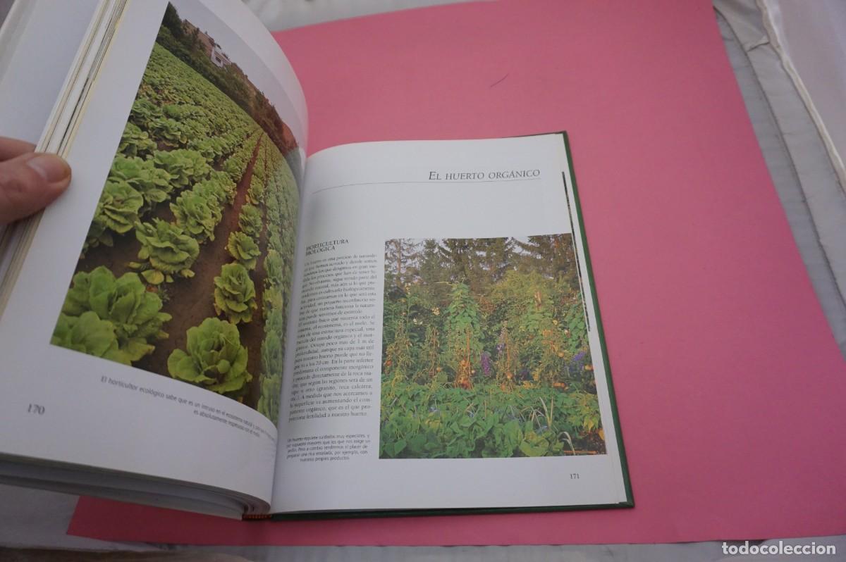 Libros: 6A/ EL GRAN LIBRO DE LA JARDINERIA / EDICIONES RUEDA - Foto 3