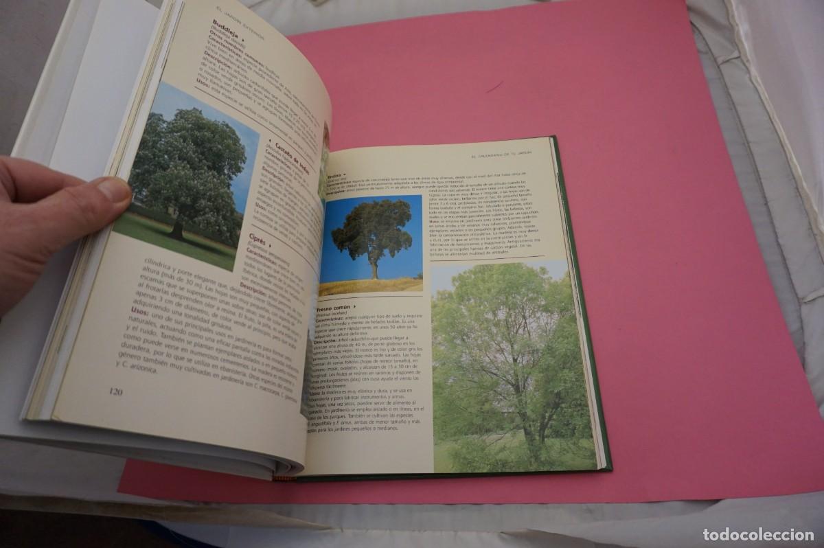 Libros: 6A/ EL GRAN LIBRO DE LA JARDINERIA / EDICIONES RUEDA - Foto 4