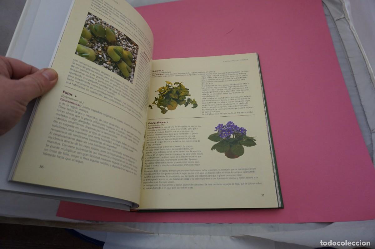Libros: 6A/ EL GRAN LIBRO DE LA JARDINERIA / EDICIONES RUEDA - Foto 5