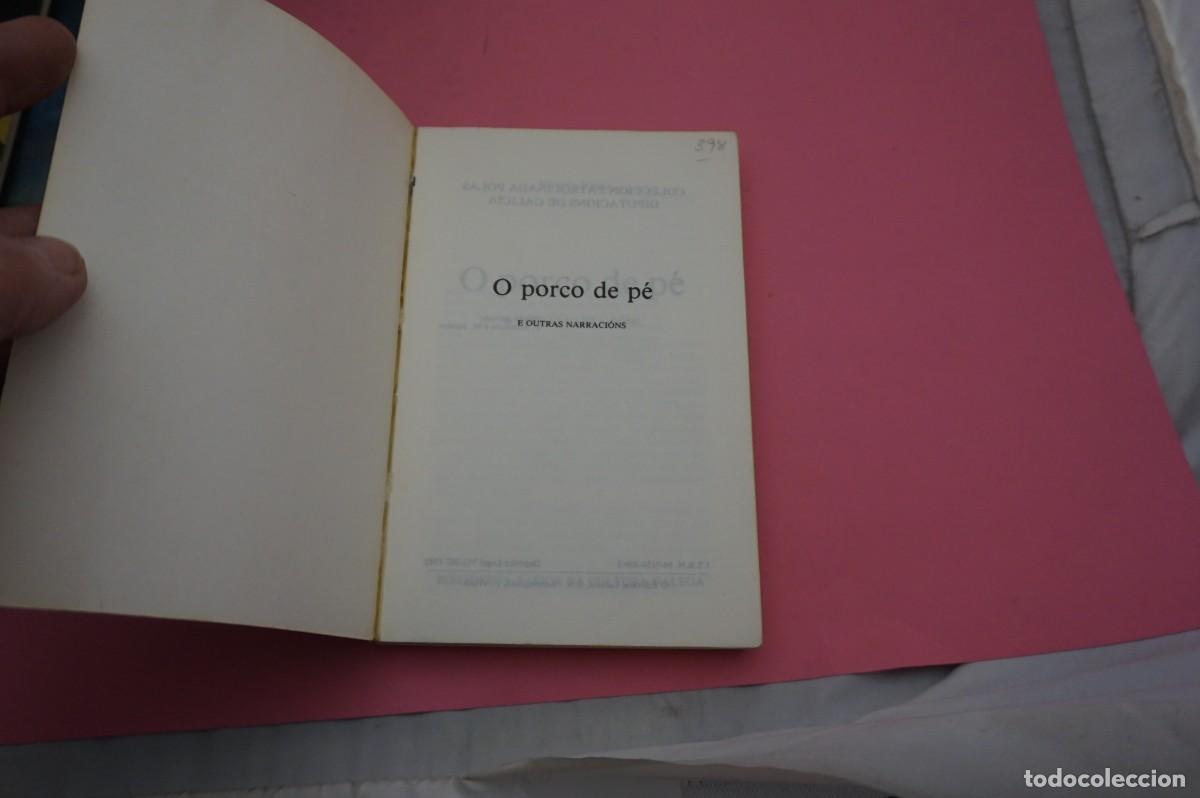 Libros: 20A/ O PORCO DE PE - VICENTE RISCO / EDITORIAL GALAXIA - Foto 2