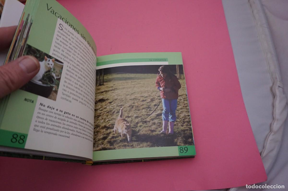 Libros: 5A/ GUIA DE GATOS / EDITORIAL KOMET - Foto 5