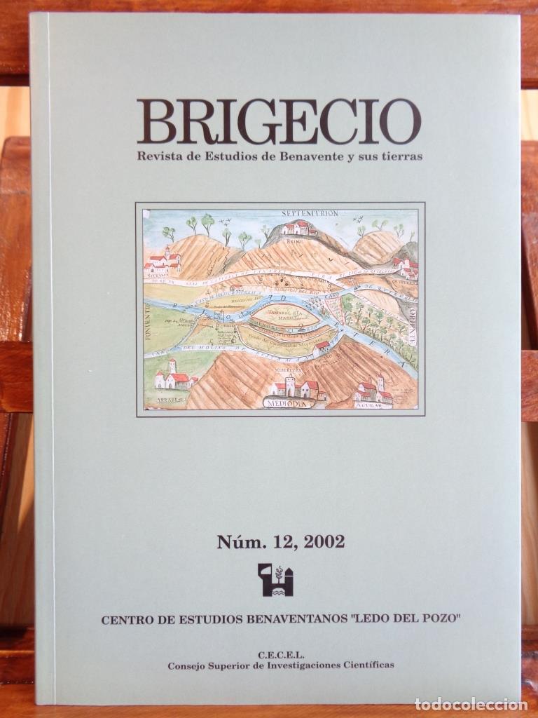 Libri di seconda mano: BRIGECIO. Revista de Estudios de Benavente y sus tierras, N&ordm; 12, 2002. - VARIOS AUTORES