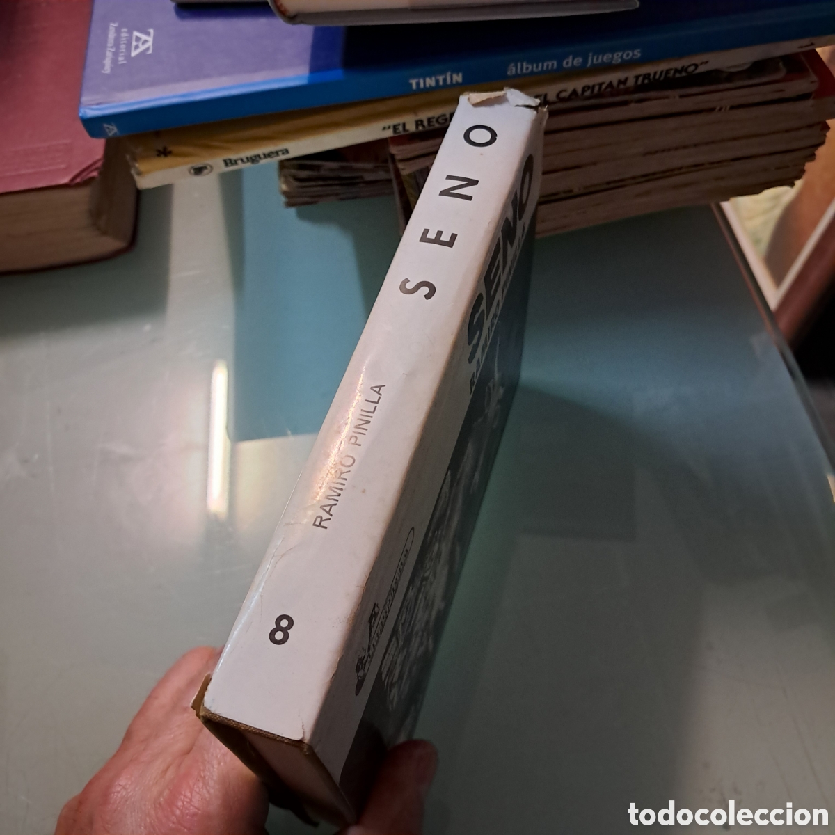 Libros: Seno, Ram&iacute;rez Pinilla, Planeta - Foto 2